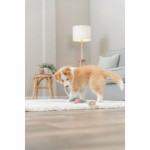 Jucărie din pluș pentru câini Trixie