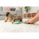 Jucărie din pluș pentru câini Trixie Albastru Verde Poliester 22 cm