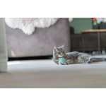 Jucărie pentru pisici Trixie Inimă