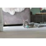 Jucărie pentru pisici Trixie Inimă