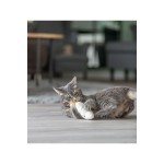 Jucărie pentru pisici Trixie Față