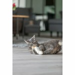 Jucărie pentru pisici Trixie Față