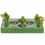 Tavă pentru gustari Trixie Verde Carton 28 x 3,8 x 18 cm