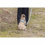 Ham pentru câini Trixie Premium FlexMesh L