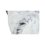 Tunel pliabil pentru animale de companie Trixie Harvey Poliester Ø 25 x 160 cm