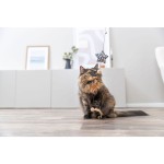 Jucărie pentru pisici Trixie Maro Bej Poliester Plastic Stea