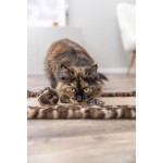 Suport de Ascuțit Gheare pentru Pisici Trixie Leo Maro Poliester Sisal EVA 55 x 35 cm Covor
