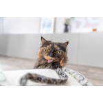 Suport de Ascuțit Gheare pentru Pisici Trixie Leo Crem 25 cm