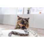 Suport de Ascuțit Gheare pentru Pisici Trixie Leo Crem 25 cm