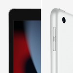 Tabletă Apple iPad Argintiu A13 256 GB