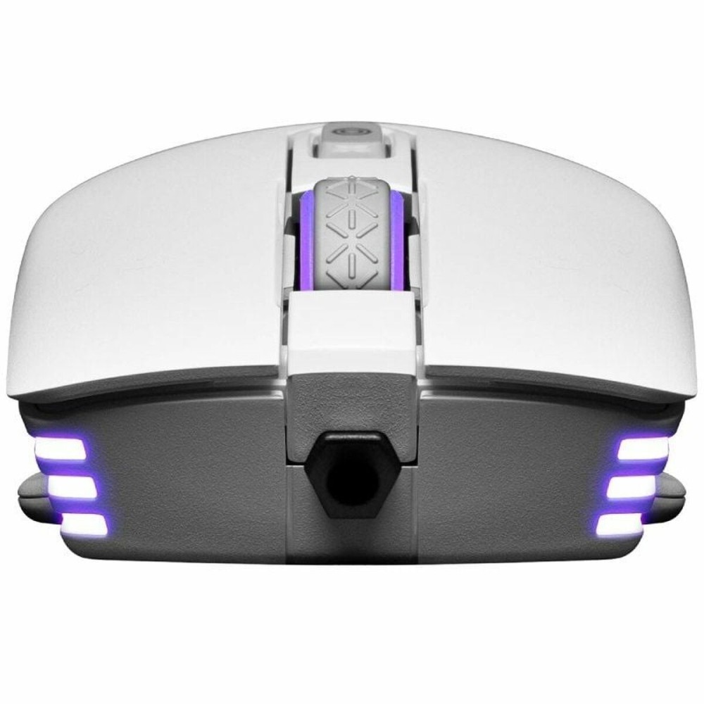 Mouse Gaming Evga X12