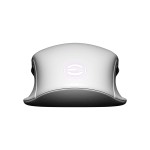 Mouse Gaming Evga X12