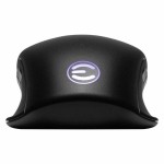 Mouse Gaming Evga X12