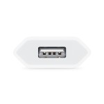 Încărcător de Perete Apple MGN13ZM/A            Alb
