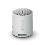 Difuzor Bluetooth Portabil Sony SRSXB100H Gri