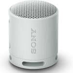 Difuzor Bluetooth Portabil Sony SRSXB100H Gri