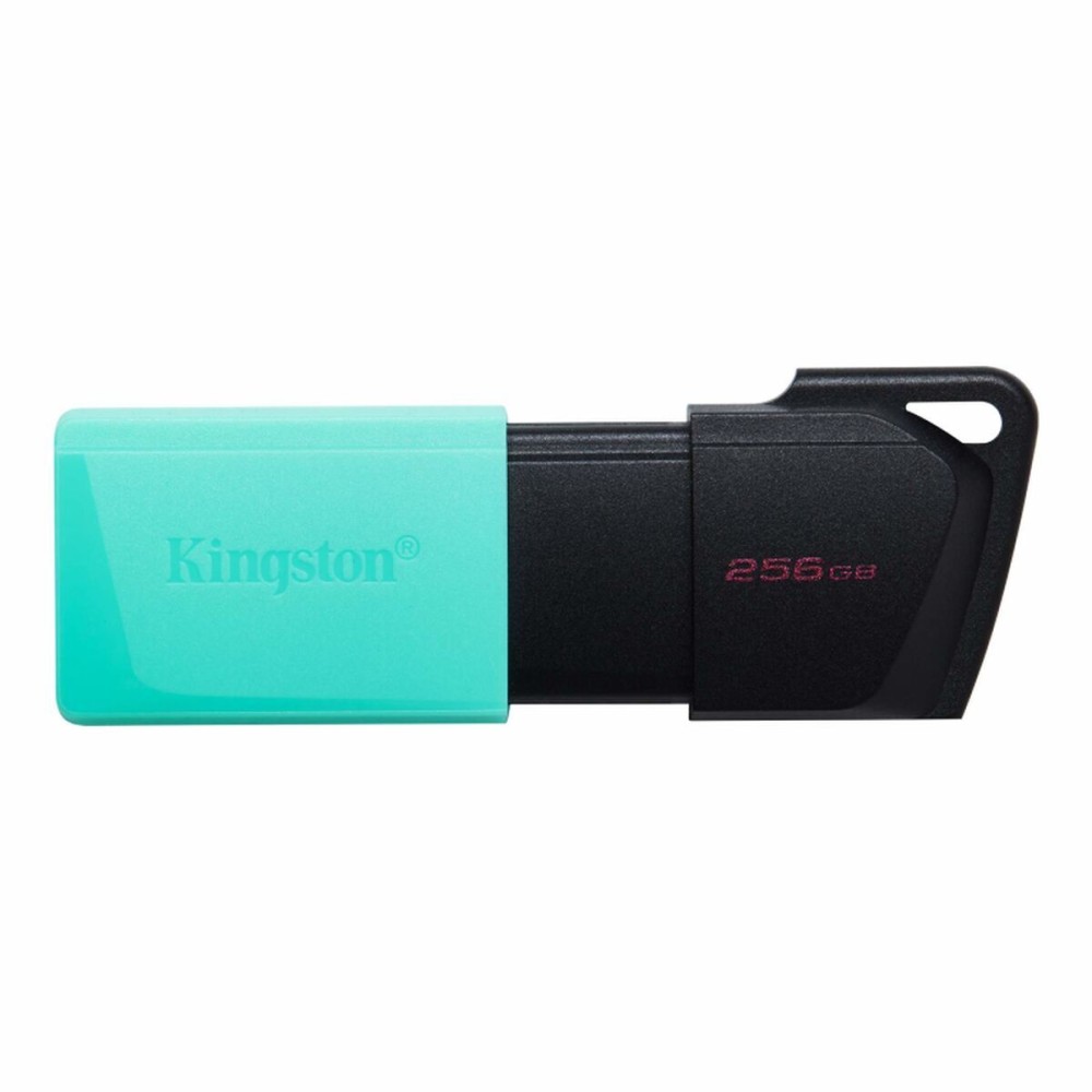 Memorie USB Kingston Exodia M Negru 256 GB