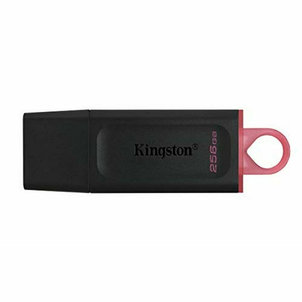 Memorie USB Kingston Exodia Roz 256 GB