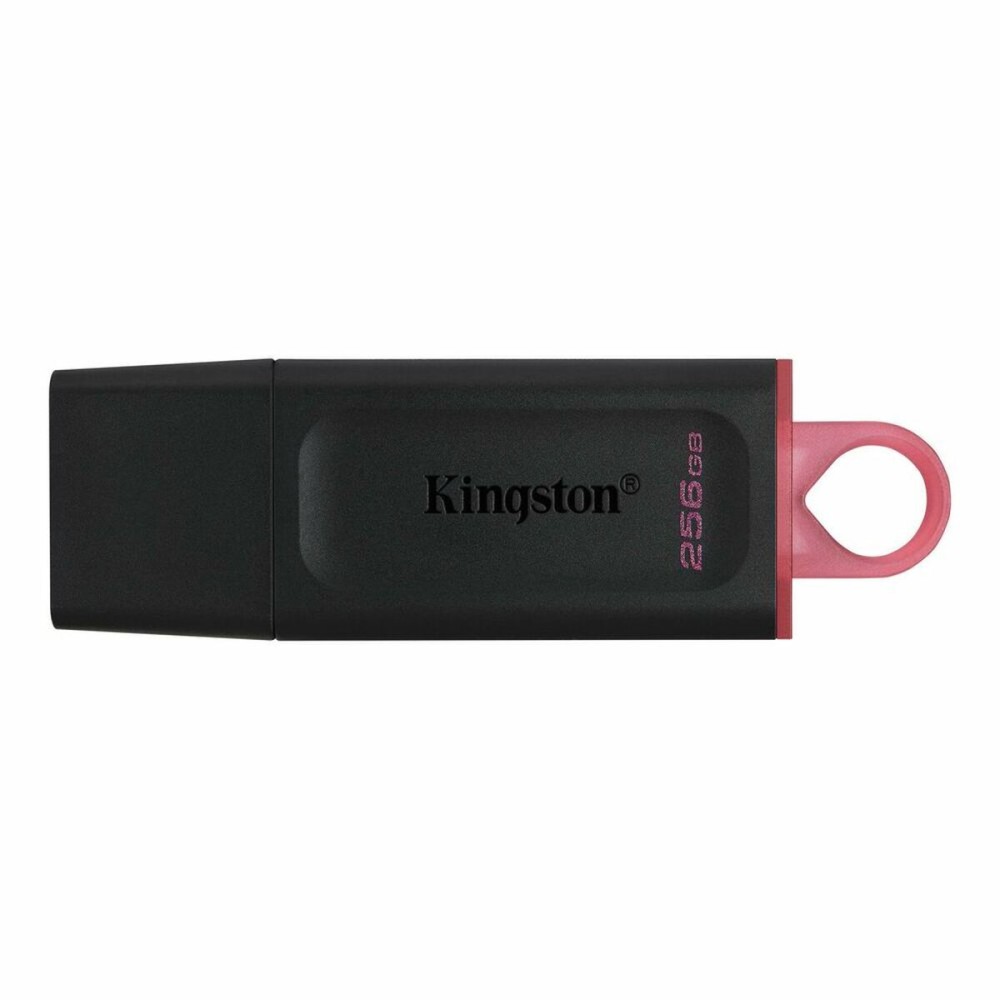 Memorie USB Kingston Exodia Roz 256 GB
