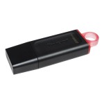 Memorie USB Kingston Exodia Roz 256 GB