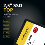 Hard Disk INTENSO Top Performance 128 GB SSD