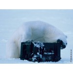 Cutie Tip Diplomat Pentru Scule GT Line EXPLORER 2712 30,5 x 27 x 14,4 cm Metal polipropilenă 27 L