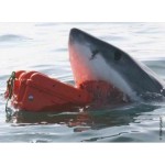 Cutie Tip Diplomat Pentru Scule GT Line EXPLORER 2712 30,5 x 27 x 14,4 cm Metal polipropilenă 27 L