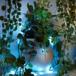 Ghirlandă de lumini LED Muvit iO 5 m