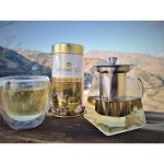 Încărcător de Perete Myway Alb 12 W