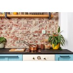 Cameră Video de Supraveghere Shelly GAS CNG