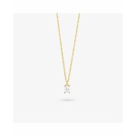 Colier Damă Radiant RY000065 50 cm