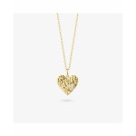 Colier Damă Radiant RY000099 50 cm