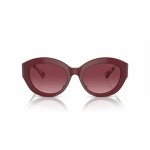 Ochelari de Soare Damă Michael Kors MK2204U39498H ø 54 mm