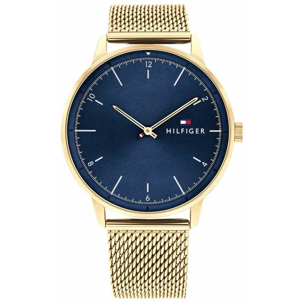 Ceas Bărbați Tommy Hilfiger 1791877 (Ø 43 mm)