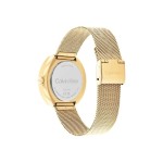 Ceas Damă Calvin Klein 25200339