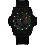 Ceas Bărbați Luminox XS.3505.GP.1 Argintiu (Ø 45 mm)