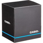 Ceas Bărbați Casio MW-240-1EVEF Negru