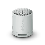 Difuzor Bluetooth Portabil Sony SRSXB100H.CE7 Gri