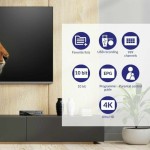 Tuner Televiziune Digitală Terestră STRONG SRT 8250