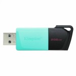 Memorie USB Kingston DTXM/256GB Negru 256 GB
