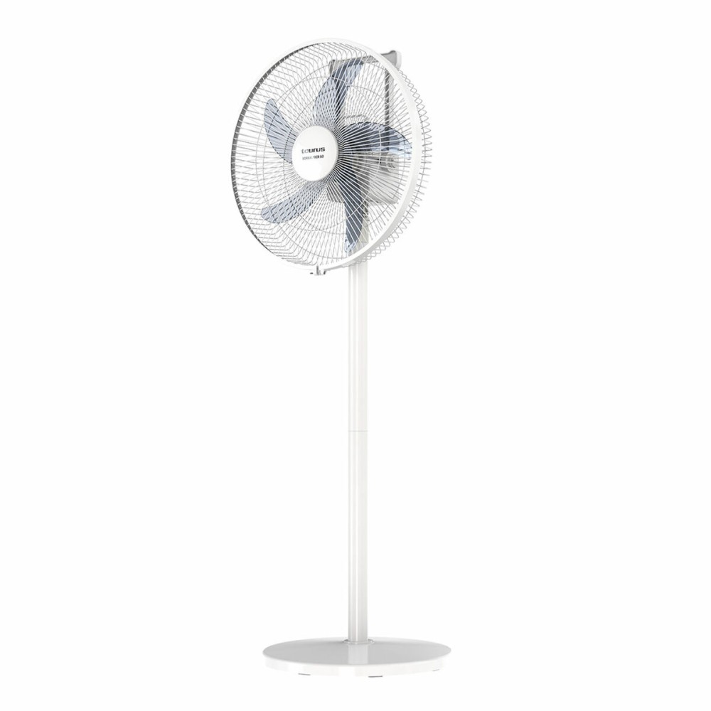 Ventilator cu Picior Taurus