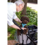 Cărucior de cumpărături Carlett CUBE P PINE Verde