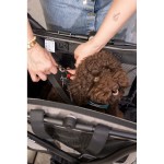 Cărucior de cumpărături Carlett CUBE P RUBY Roșu