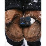 Adaptator GoPro CHDHF-131-EU Negru