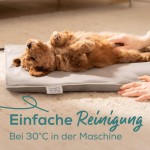 Pat electric pentru animale de companie Beurer PP210 LILLI Gri Mic