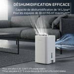 Dezumidificator Rowenta DH5250F0 300 W 3 L