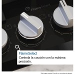 Plită pe Gaz BOSCH PGH6B5K90