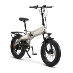 Bicicletă Electrică Nilox NXEBX10GR Gri 250 W 13000 mAh 20"