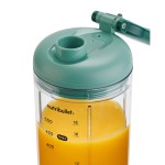 Mixer cu Pahar Nutribullet NBP013GR Verde