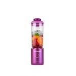 Mixer cu Pahar Nutribullet NBP013GM Gri 600 ml